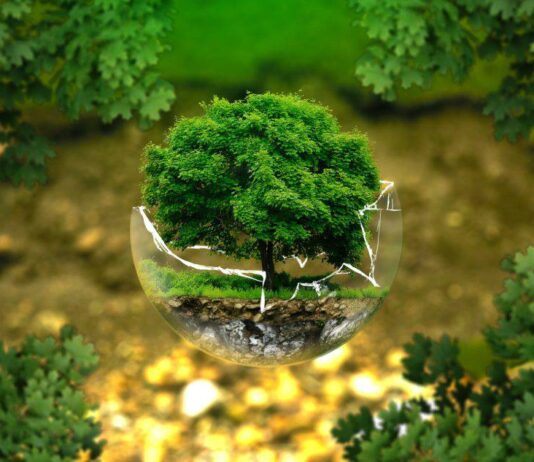 Comment Protéger la Nature : Engagements et Innovations Technologiques en Tunisie Comment Protéger la Nature